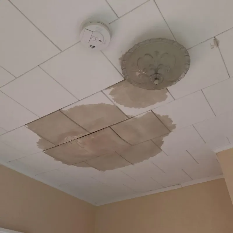 Ceiling Water Damage Repair in Powhatan Point, OH