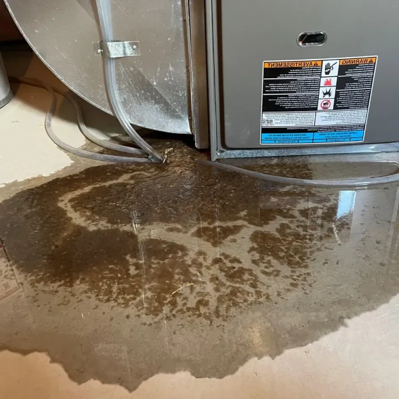 Pipe Burst and Leak Restoration in Powhatan Point, OH