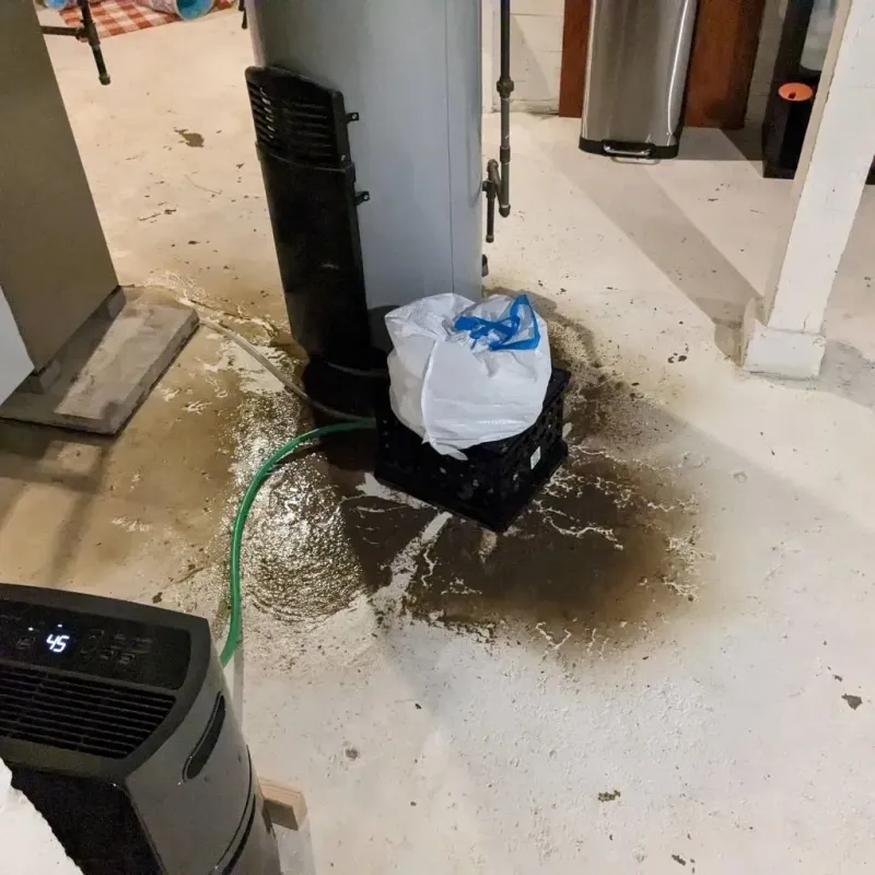 Sewage Backup Cleanup Service in Powhatan Point, OH